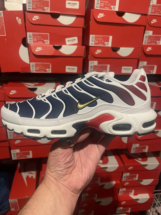 Air Max Plus TN 'PSG'
